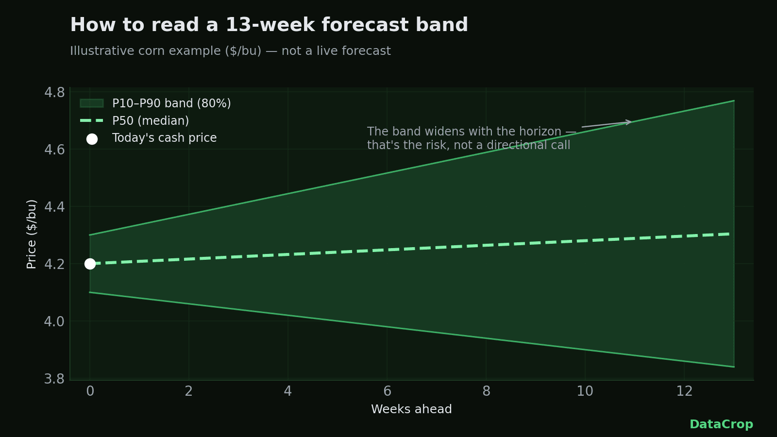 A corn forecast band: the P50 median dashed line inside a green P10-P90 band that widens with the horizon, with today's cash price marked at week zero.